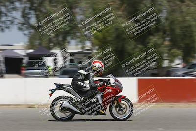 media/Sep-07-2024-Pacific Track Time (Sat) [[9bb89f5e83]]/C group/Front Straight 1240pm/